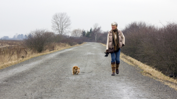 Tema fibromyalgi del 1 – en hård smertesygdom. Diagnose og behandling.